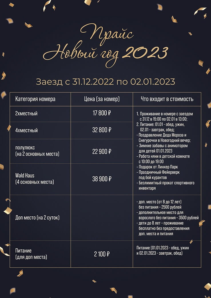 Прайс на проживание и питание гостей в Apart Hotel Линкер Парк на Новый год 2023 с 31 декабря по 2 января